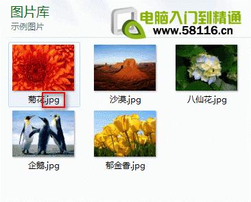 Win7ϵͳ�����ʾ�ļ����͵���չ��