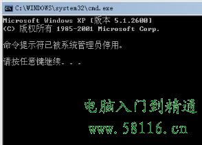<span style='color:#bc3c16'>CMD命令打不开提示被管理员停用</span>
