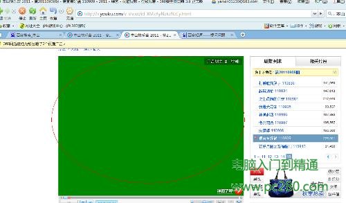 <span style='color:#bc3c16'>浏览器看视频是绿色的解决办法</span>